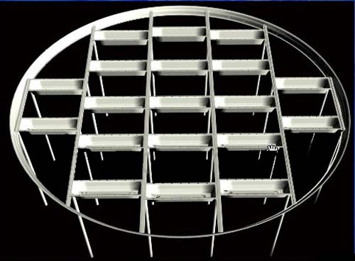 ���P䓾����̓�(n��i)���P(p��n)